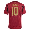 Maglia ufficiale Belgio Lukaku 10 Casa Euro 2024 per Bambino